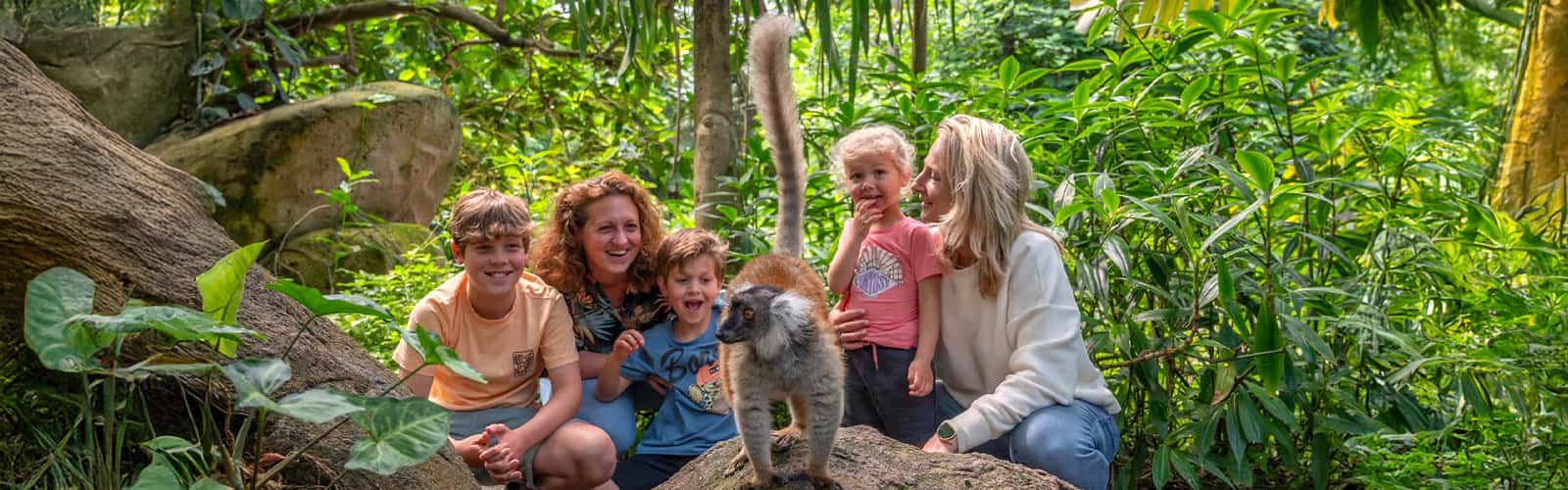 Emmen Zoo – Tickets + Hotel Stay Included