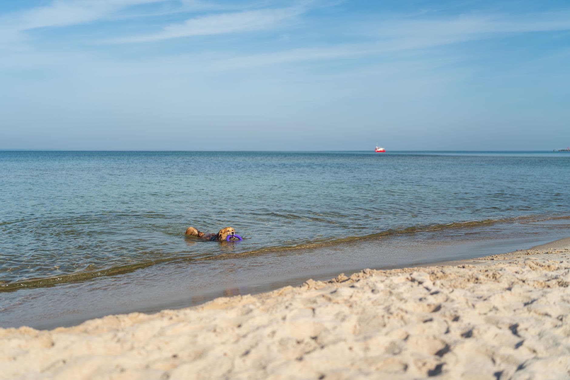 Wellnessweekend aan de Oostzee in Kołobrzeg foto 3