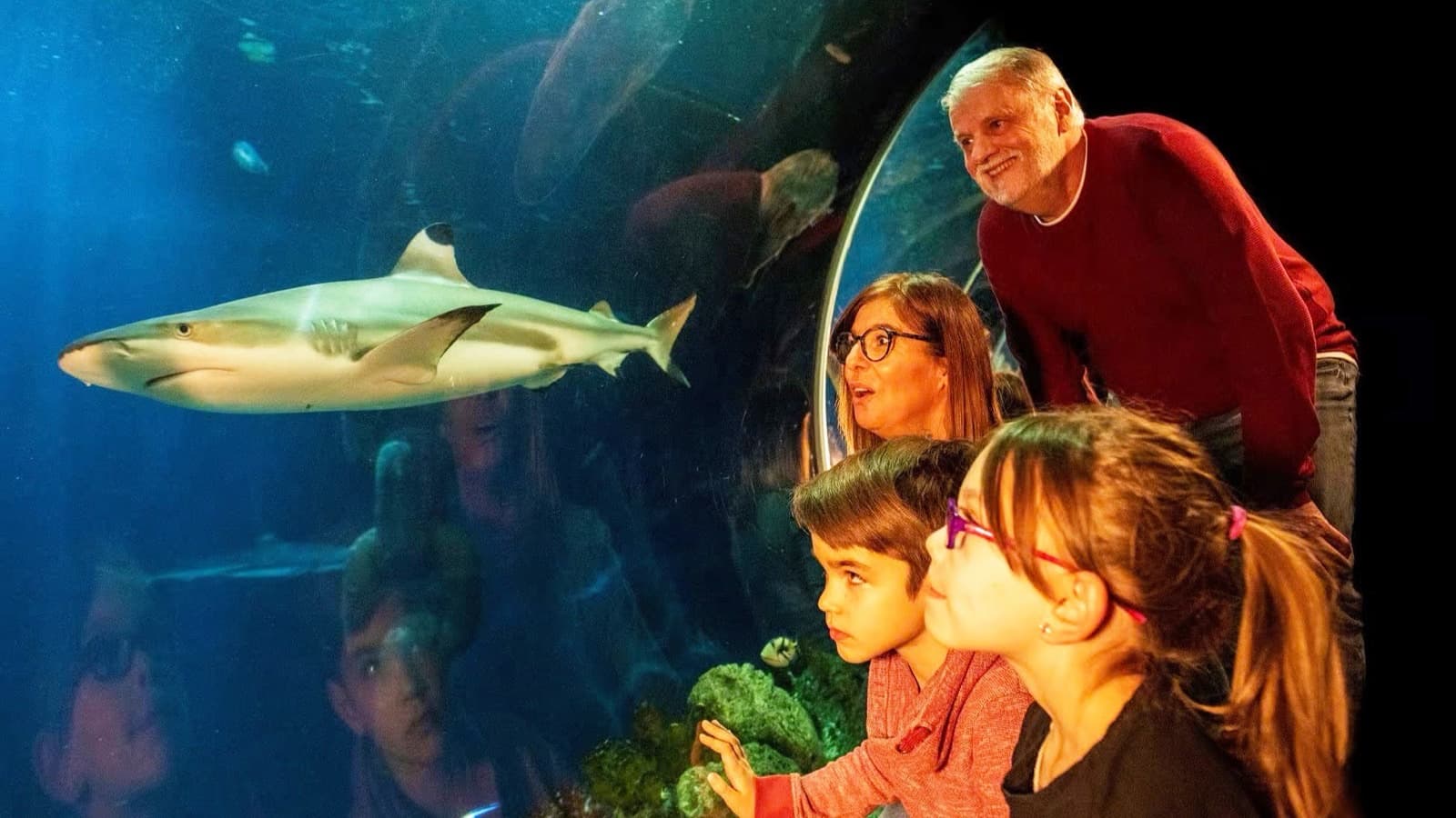 Oberhausen with SEA LIFE Aquarium incl. Hotel foto 3