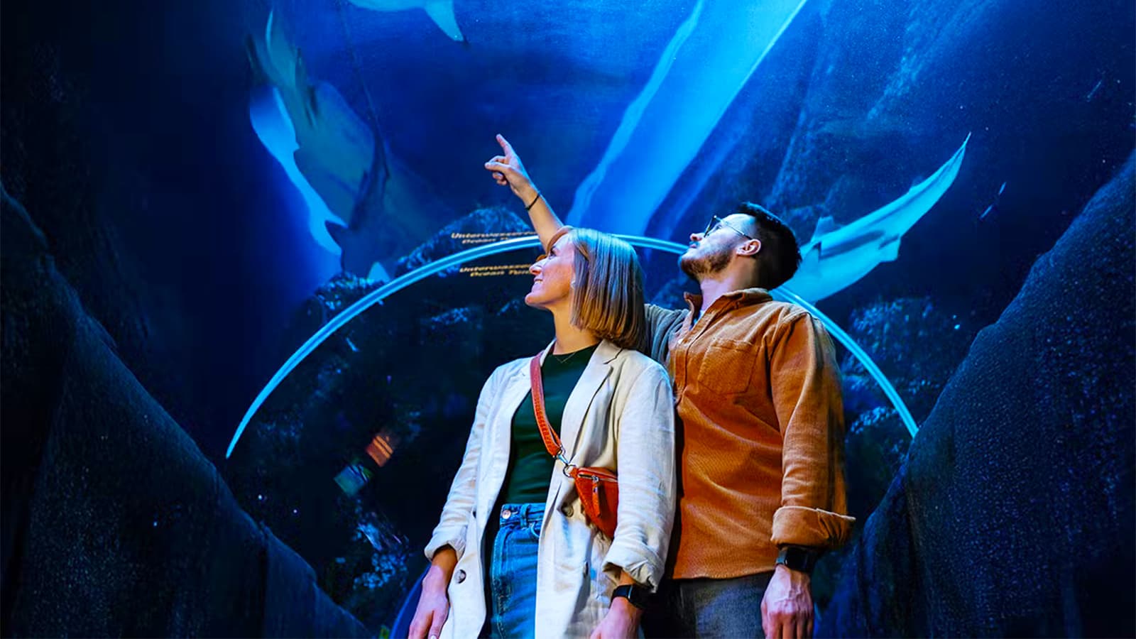 Oberhausen met toegang tot LEGOLAND® en SEA LIFE incl. Hotel foto 1