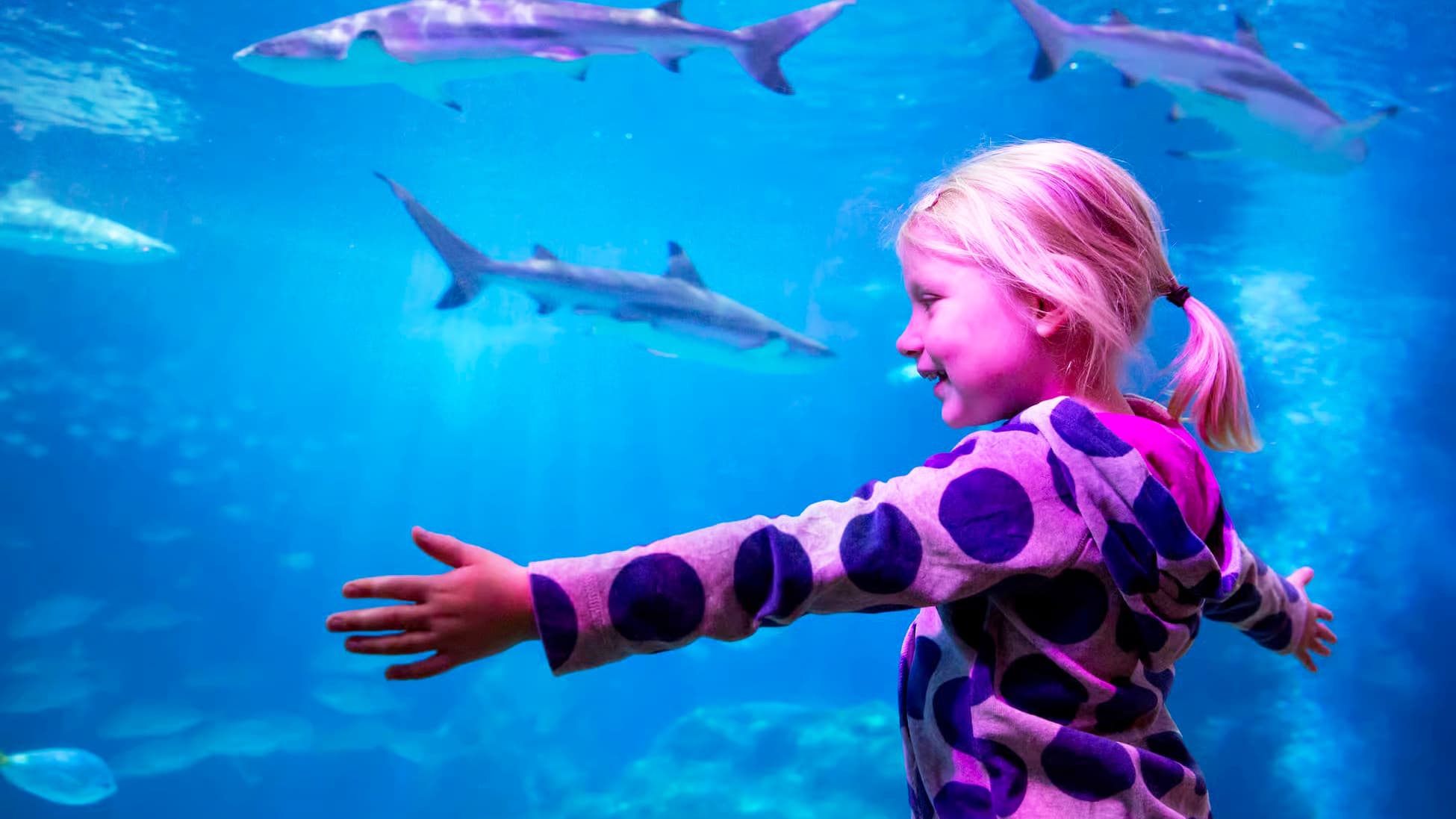 Oberhausen with SEA LIFE Aquarium incl. Hotel