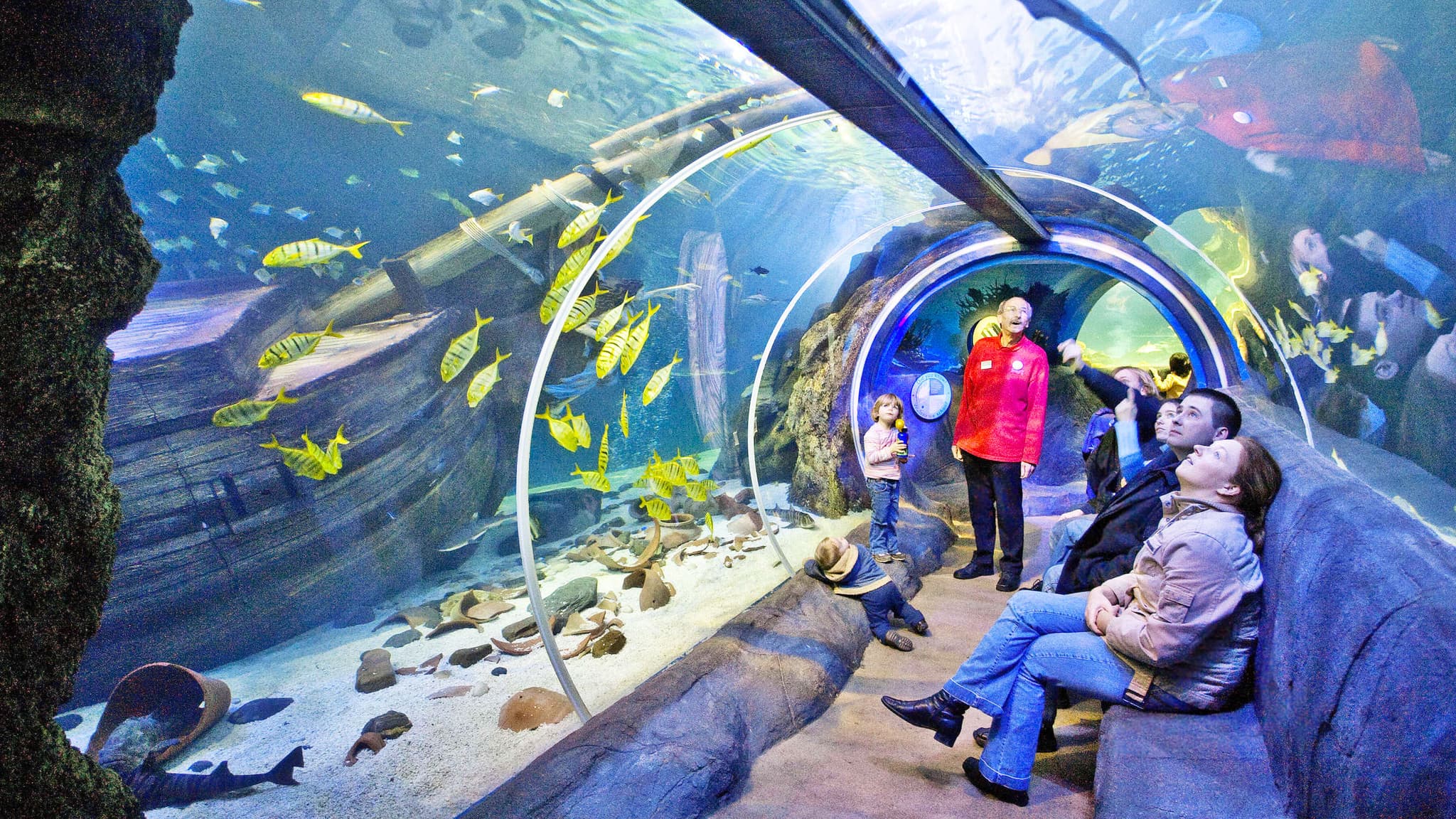 Oberhausen with SEA LIFE Aquarium incl. Hotel foto 3
